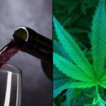 CBD Has Potential To Treat Alcohol Use Disorder By Reducing Withdrawal Symptoms And Lowering Relapse Risk, Federally Funded Study Finds
