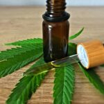 CBD 'Improves Cognitive Decline Associated With Aging,' Study Shows