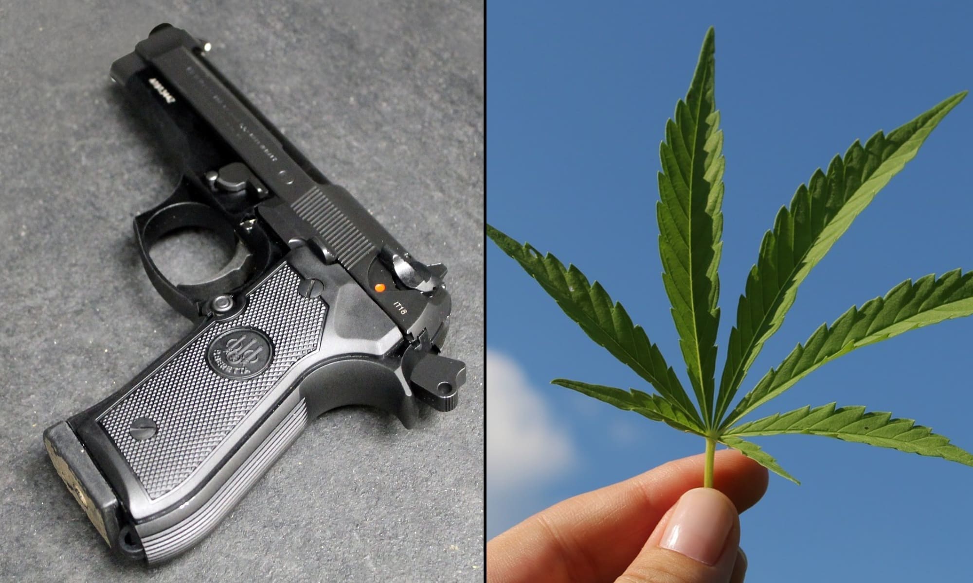 DOJ Knew Gun Ban For Marijuana Users Is Vulnerable To ‘Litigation Risk,’ Newly Revealed Memo Shows As Supreme Court Takes Up Issue