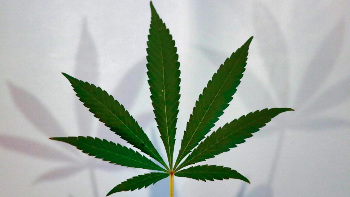 Here are Trump’s first public cannabis comments of this term (Newsletter: August 12, 2025)