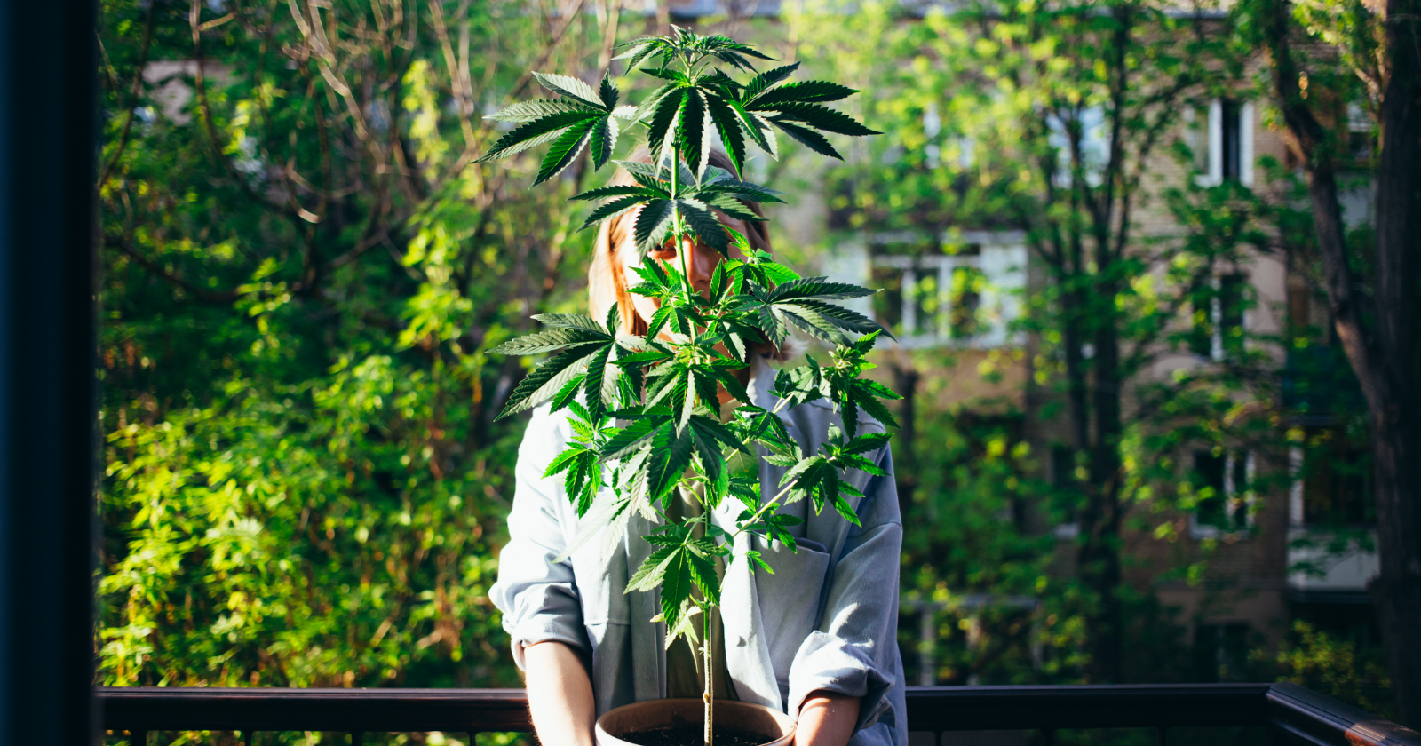 Is Cannabis Really Legal If You Can’t Grow Your Own Weed?
