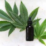 Texas Crime Labs Say They Don't Have Enough Resources To Test Hemp Products For THC As Lawmakers Consider Ban