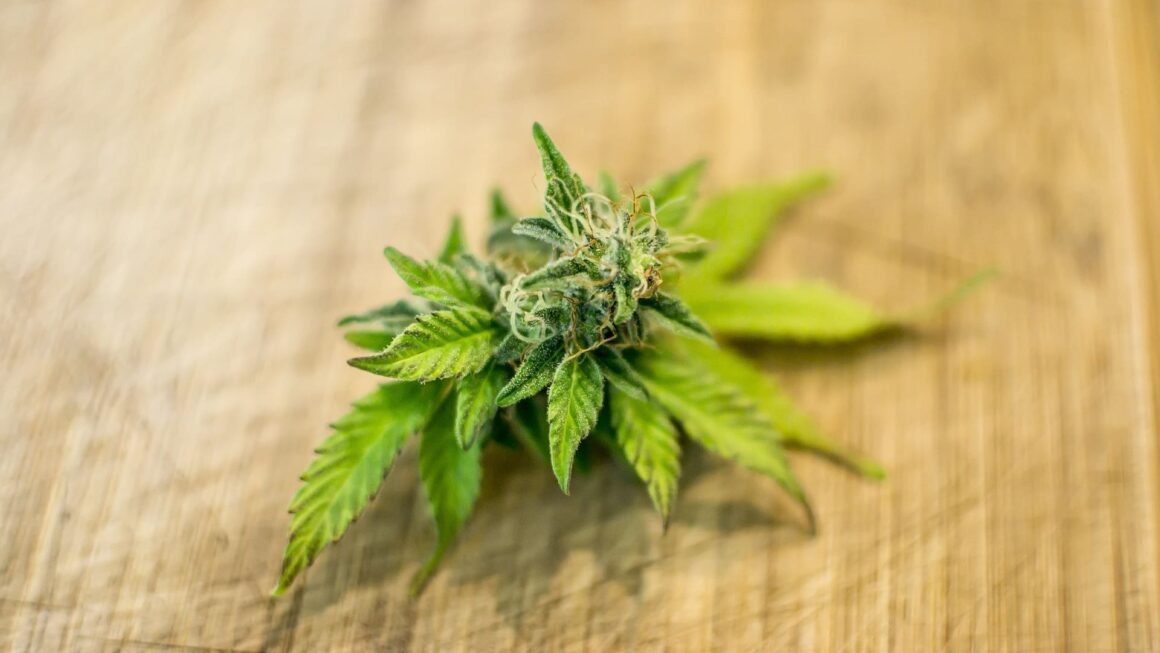 Ohio Governor And GOP Senator Criticize Activists Pushing Referendum To Reverse Marijuana And Hemp Restrictions