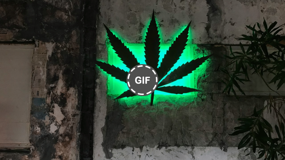The Toking Traveler: Why Amsterdam Weed Is Mostly Boof