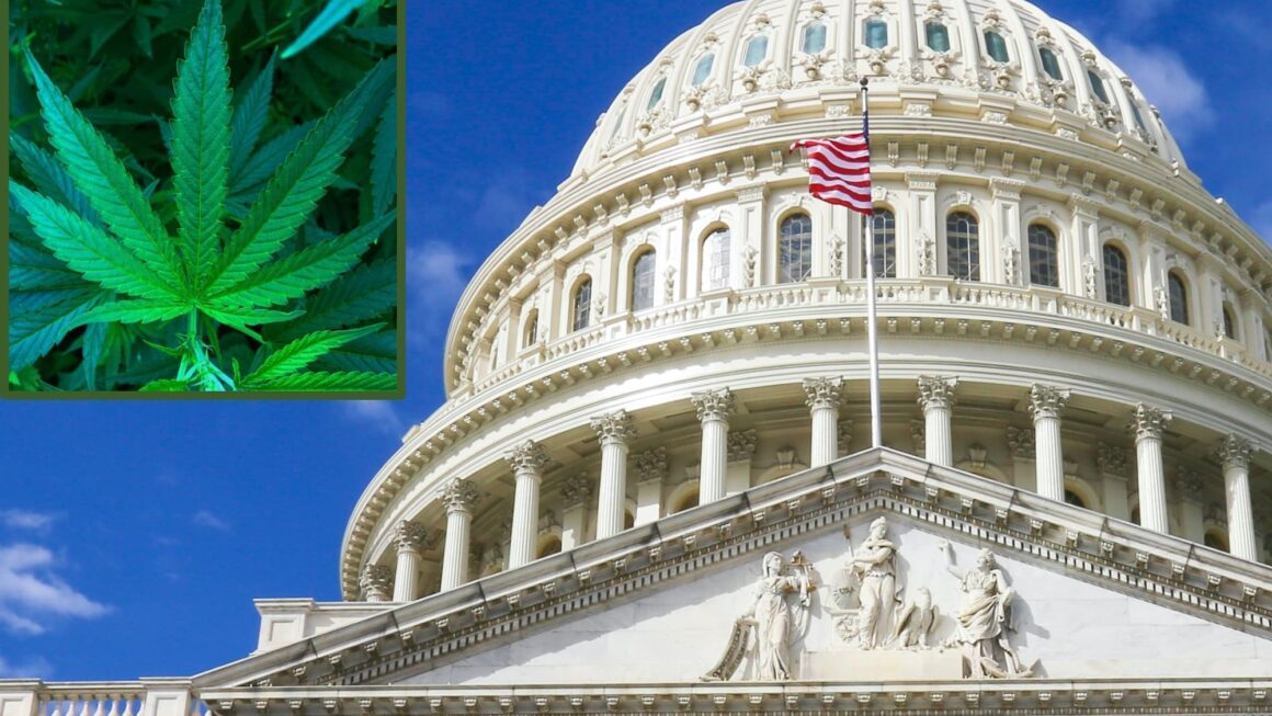Alcohol Industry Steps Up Lobbying On Hemp Drinks As Congress Debates THC Ban