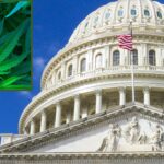 Alcohol Industry Steps Up Lobbying On Hemp Drinks As Congress Debates THC Ban