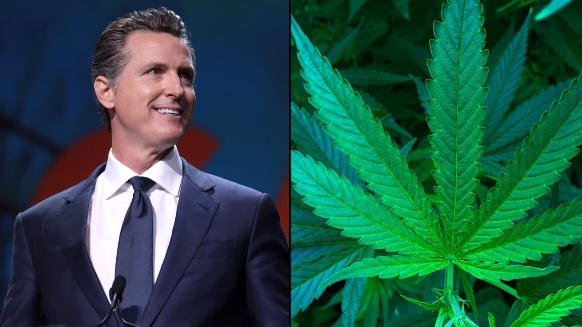 California Governor Signs Bill To Integrate Hemp And Marijuana Markets After Banning Intoxicating Cannabinoids Outside Of Dispensaries