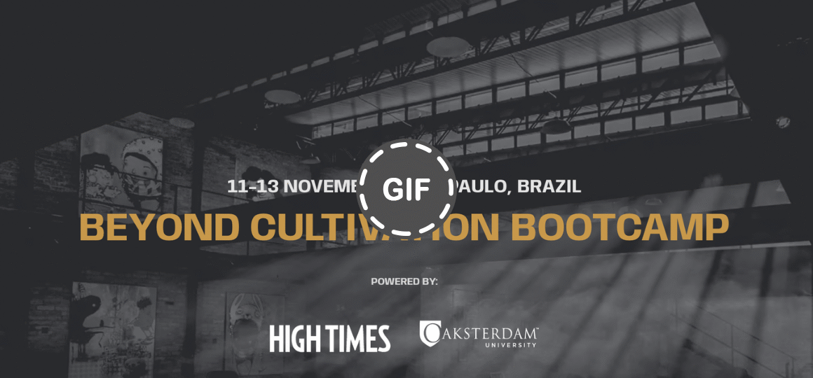 Cannabis Heavyweights Bring Global Masterclass to Brazil This November