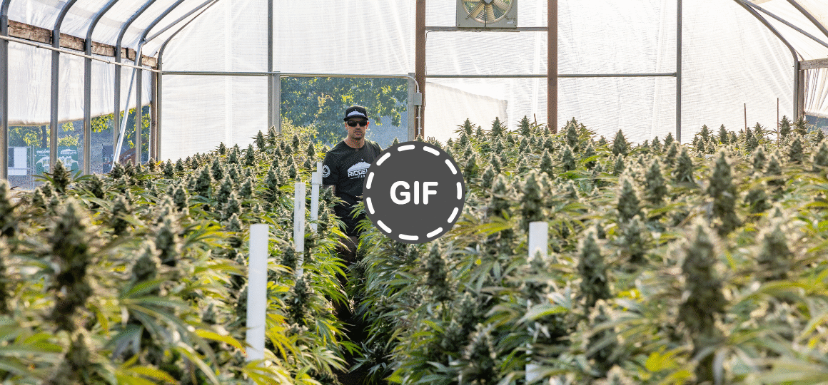 Croptober 2025: California Farmers Prep for the Biggest Harvest of the Year