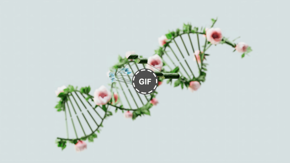 How Genomics is Shaping the Future of Cannabis Breeding