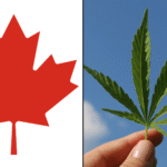 Majority Of Canadians View Marijuana Industry As 'Important' To Country's Economy, Poll Finds As Cannabis Use Rates Match Nicotine
