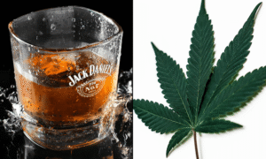 Most People Who Drink THC-Infused Cannabis Beverages Reduce Their Use Of Alcohol, Survey Shows