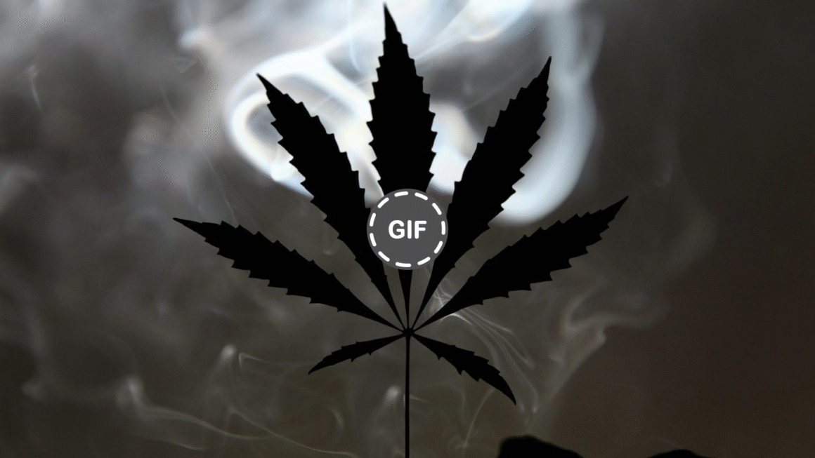 Smart Cannabis: The AI Revolution No Operator Can Ignore
