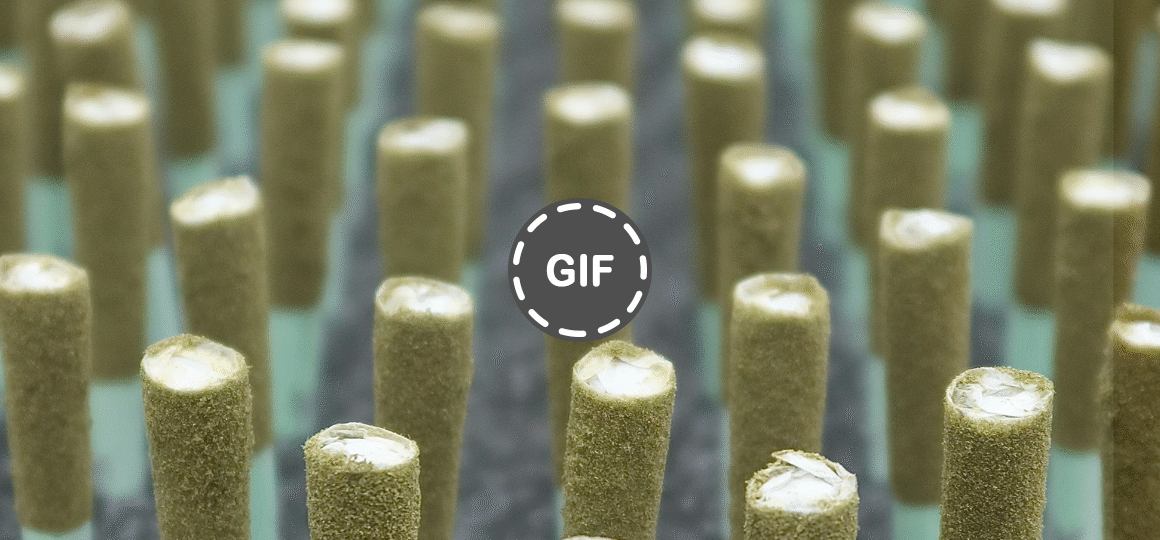 The Hidden Shortcut to Launching a Cannabis Brand