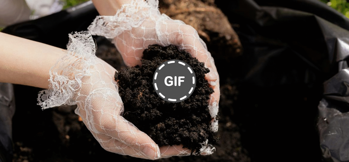 The Living Soil Revolution: Cannabis, Regeneration, and Resistance