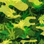 Top Veterans Group Partners With Cannabis Brand To Promote THC Drinks As Alcohol Alternative At VFW Posts