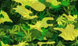 Top Veterans Group Partners With Cannabis Brand To Promote THC Drinks As Alcohol Alternative At VFW Posts