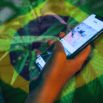 brazil cannabis meta