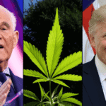 GOP Operative Roger Stone Blasts 'Cheap Cop-Out' Hemp Ban That Trump Signed Into Law