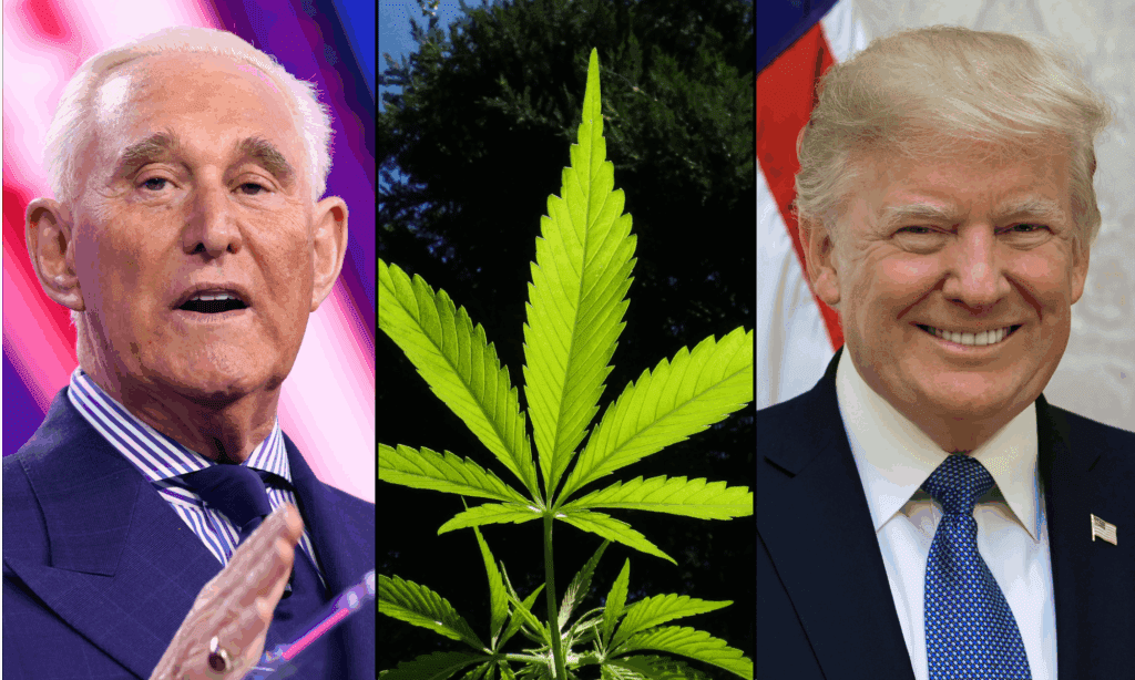 GOP Operative Roger Stone Blasts 'Cheap Cop-Out' Hemp Ban That Trump Signed Into Law