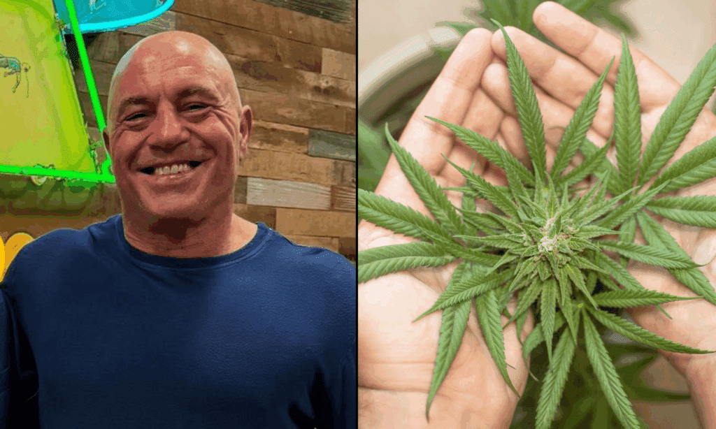Joe Rogan Slams ‘Really Bad’ Federal Hemp Ban Trump Signed, Blaming Alcohol Industry For Influencing Congress