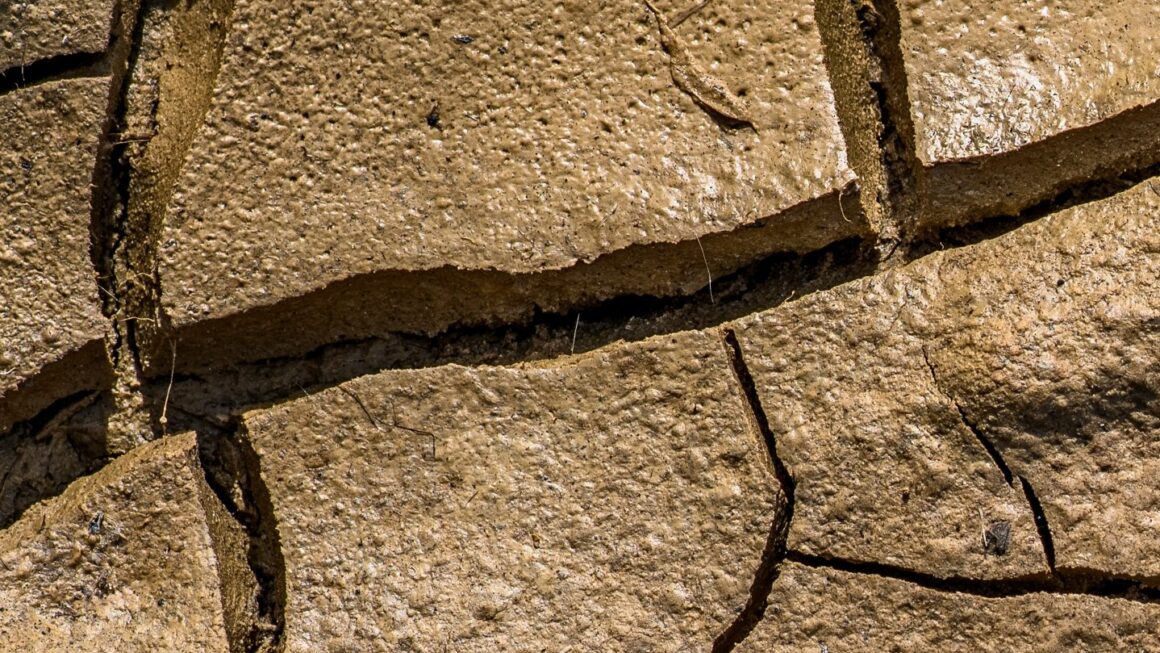 L.A.’s Cannabis Market Is Cracking. Now City Leaders Say They’re Finally Ready to Fix It