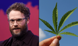 Seth Rogen Says Push To Ban Hemp THC Drinks Shows 'Someone Is Very Threatened' By The Expanding Market