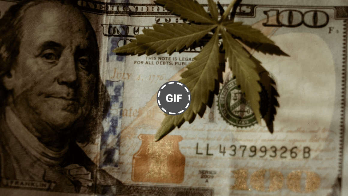 Spanberger Win Sparks $2.5B Cannabis Sales Forecast for Virginia