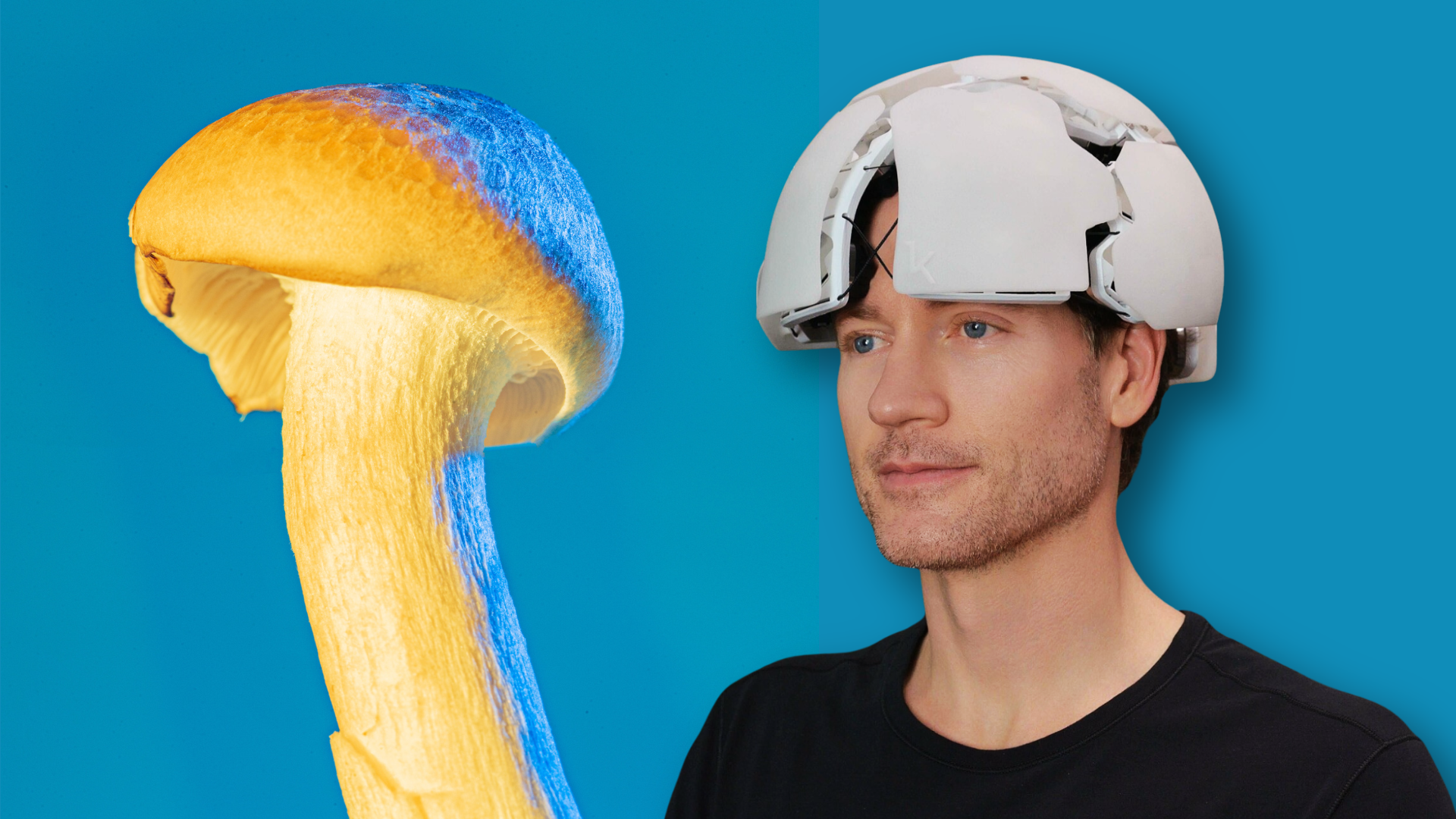 The Tech Mogul Who Never Wants to Die Is Now Macrodosing Mushrooms
