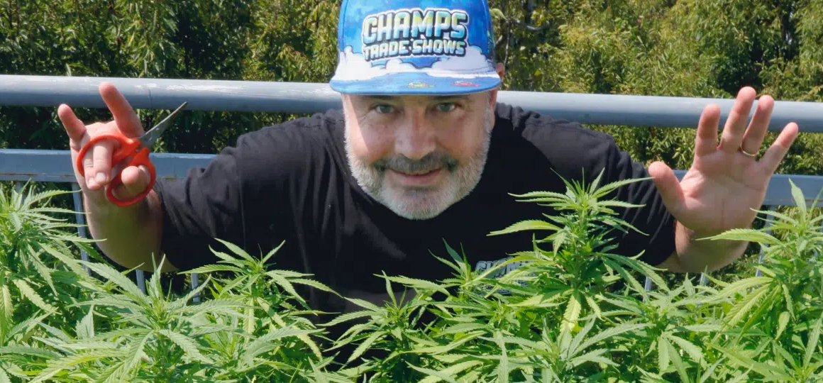 Trees Grow in Brooklyn: A Rooftop Cannabis Garden Grown in Living Soil