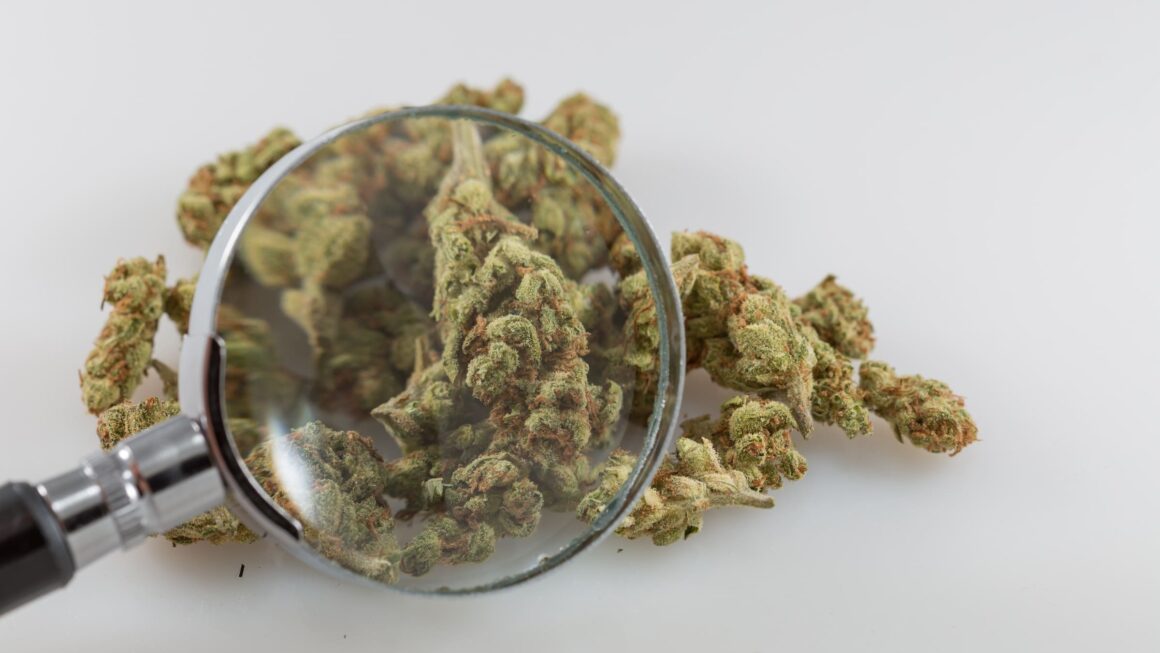 California Officials Award $30 Million In Marijuana Revenue To Support Research On THC Drinks, Terpenes And Tribal Cannabis Sales