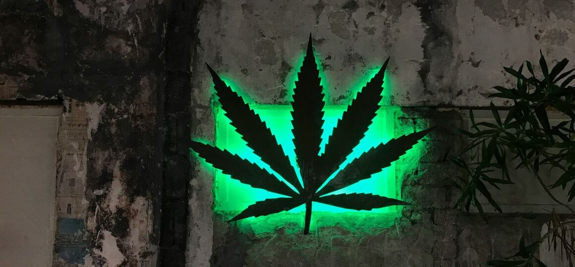 The Morning the Drug War Kissed Its Own Reflection