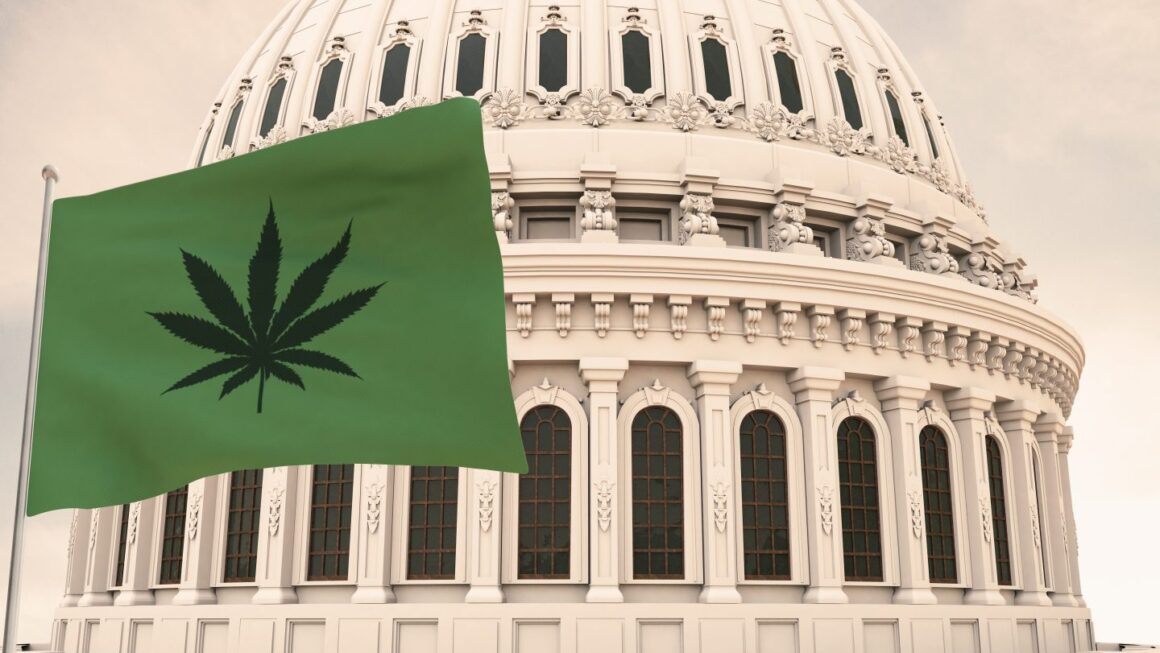 Washington Tried To Kill Hemp. Lawmakers Just Launched the Counterattack