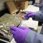 Michigan Lawmakers Weigh Bill To Create Statewide Cannabis Reference Lab To Standardize Testing