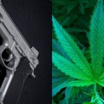 NRA Joins Marijuana Groups Urging Supreme Court To Overturn Ban On Gun Ownership By Cannabis Consumers As Unconstitutional