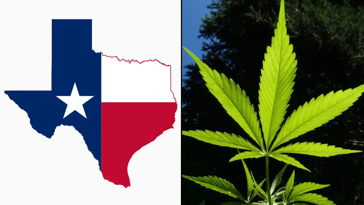 Marijuana Legalization Is On The Ballot In Texas During The Primary Election That’s Happening Now