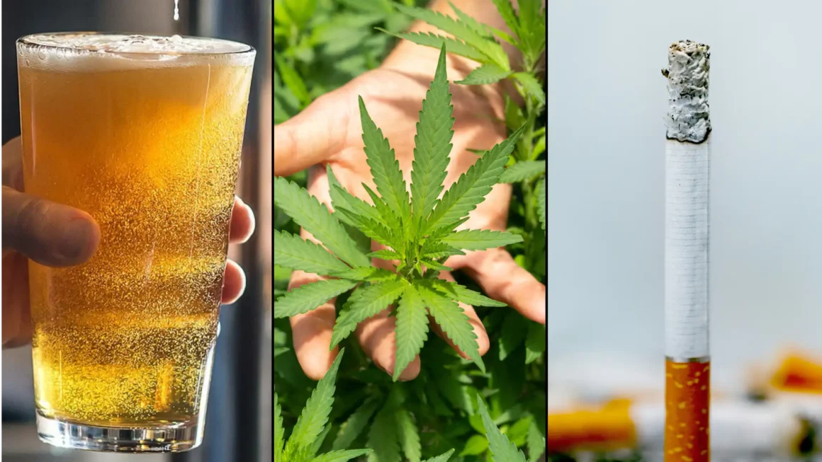 Alcohol And Tobacco Are More Damaging To Users And Society Than Marijuana Is, Government-Funded Study Concludes