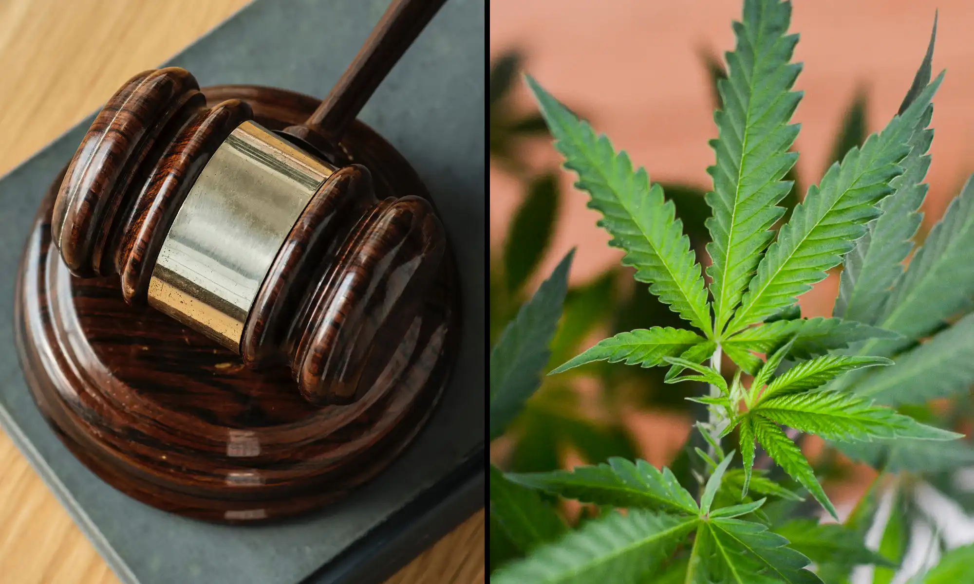 Kansas Officials Are Being Sued Over Raids Against Hemp Businesses