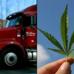 Use Of Medical Marijuana Or Hemp Doesn't Excuse Drug Testing Violations, Trump's Transportation Department Warns