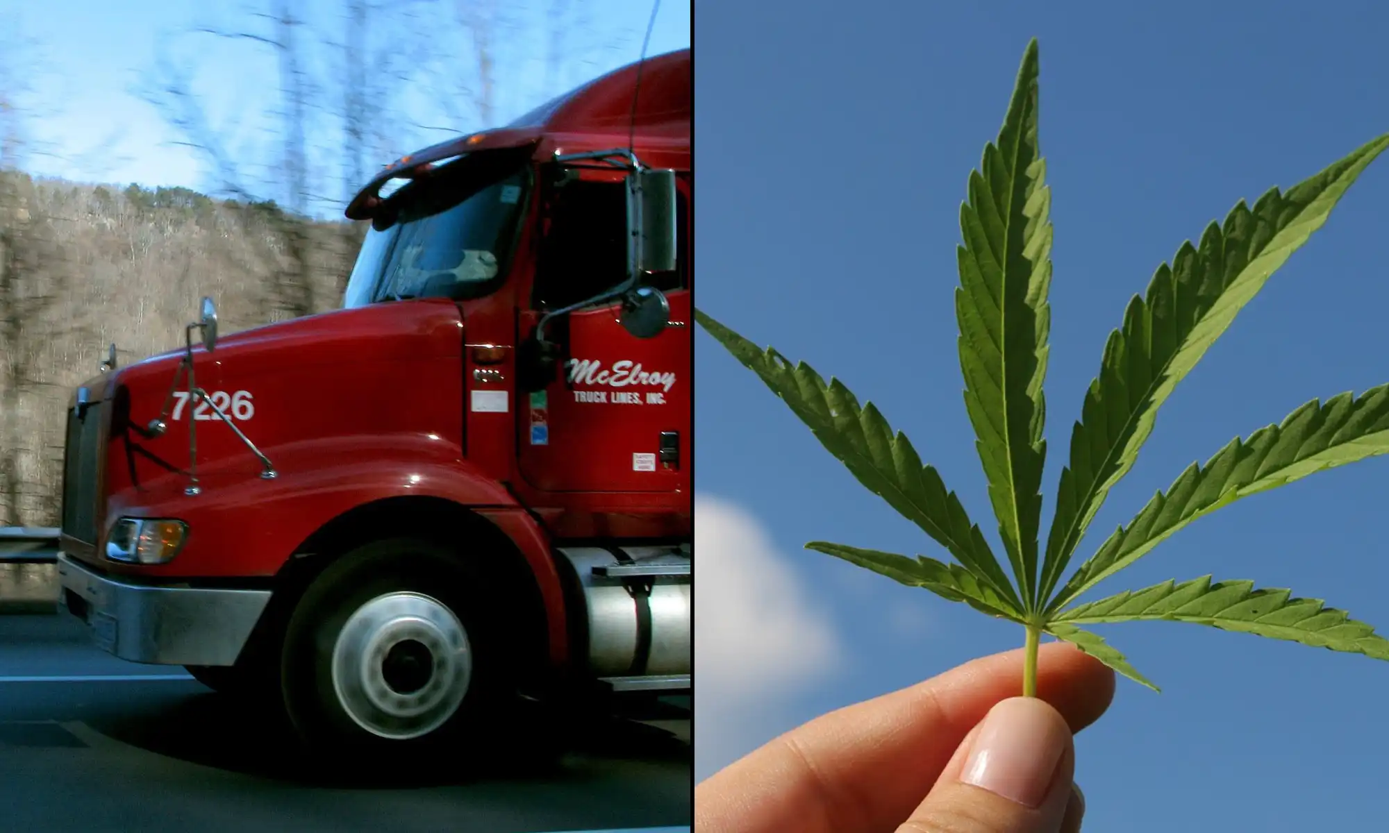 Use Of Medical Marijuana Or Hemp Doesn’t Excuse Drug Testing Violations, Trump’s Transportation Department Warns