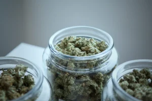 White House schedules cannabis enforcement meeting (Newsletter: March 27, 2026)