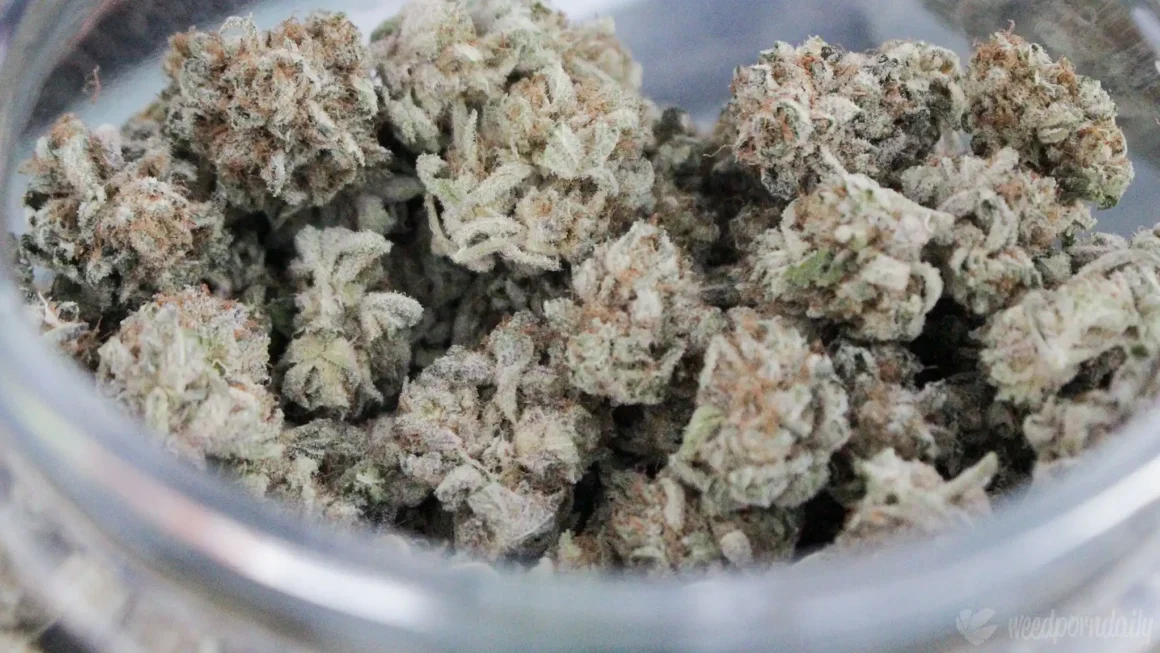 Colorado Marijuana Officials Announce Crackdown On Sales Of Hemp Products Amid 'Risks To Public Safety'