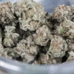 Colorado Marijuana Officials Announce Crackdown On Sales Of Hemp Products Amid 'Risks To Public Safety'