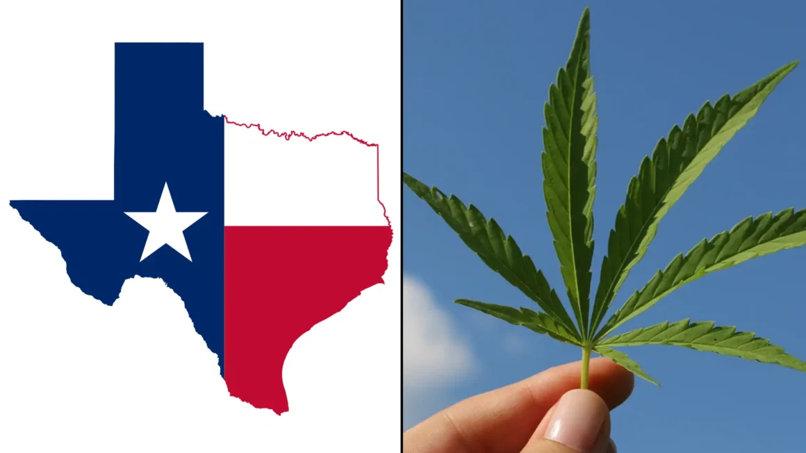 Texas Hemp Businesses Sue State Officials Over New Rules Banning Products Like Smokable THCA Flower