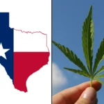 Texas Hemp Businesses Sue State Officials Over New Rules Banning Products Like Smokable THCA Flower