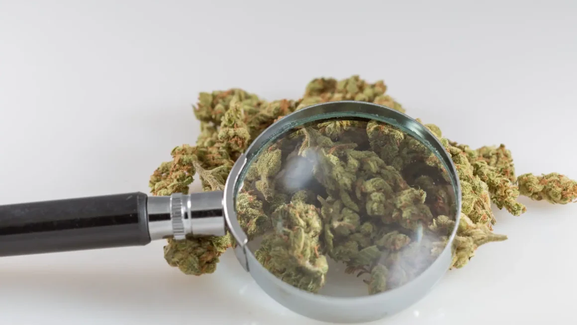 The Cannabis Beverage Industry Has An Evidence Problem, With Too Few Companies Submitting Products For Independent Scrutiny (Op-Ed)