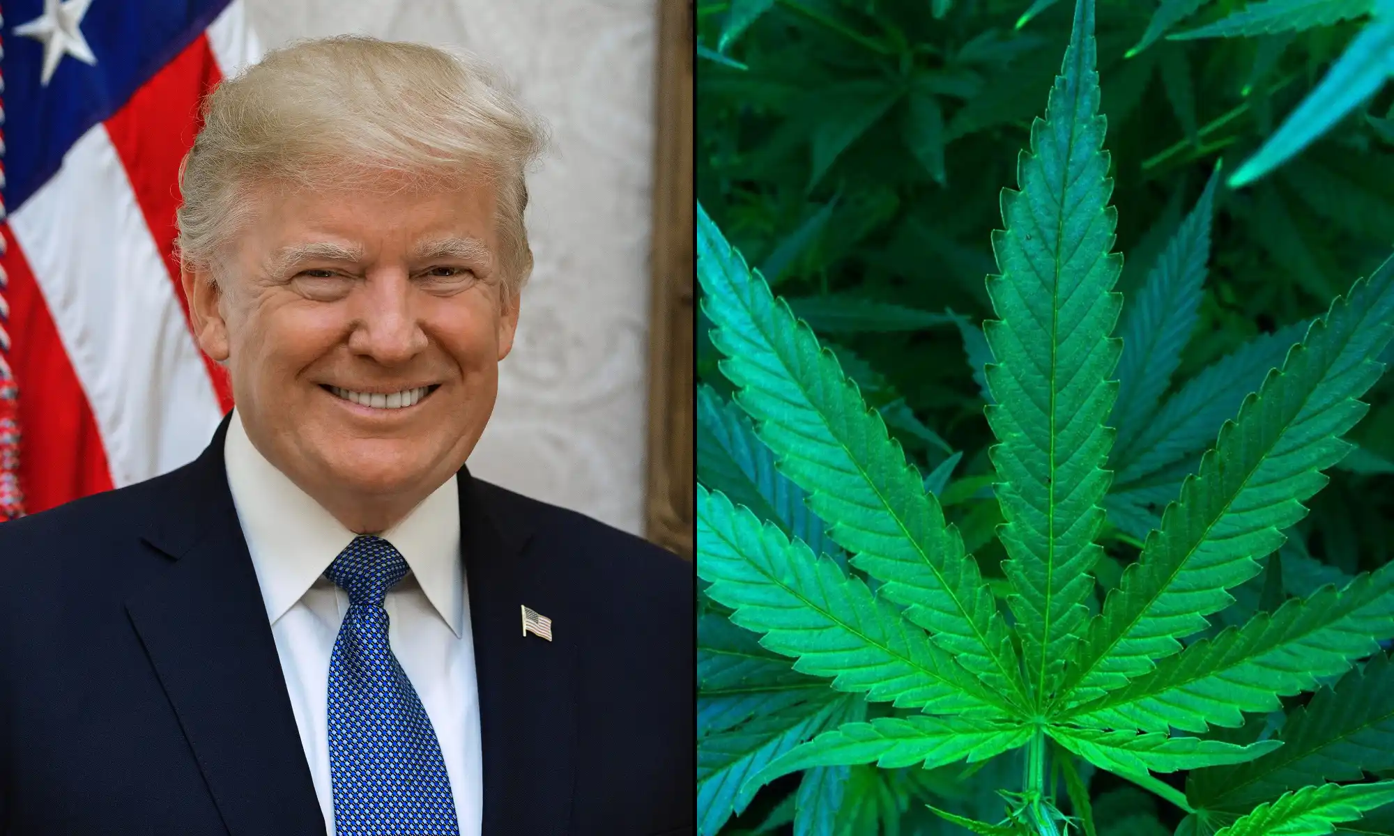 Trump Complains DOJ Is ‘Slow-Walking’ Marijuana Rescheduling, Four Months After He Issued An Order To Get It Done