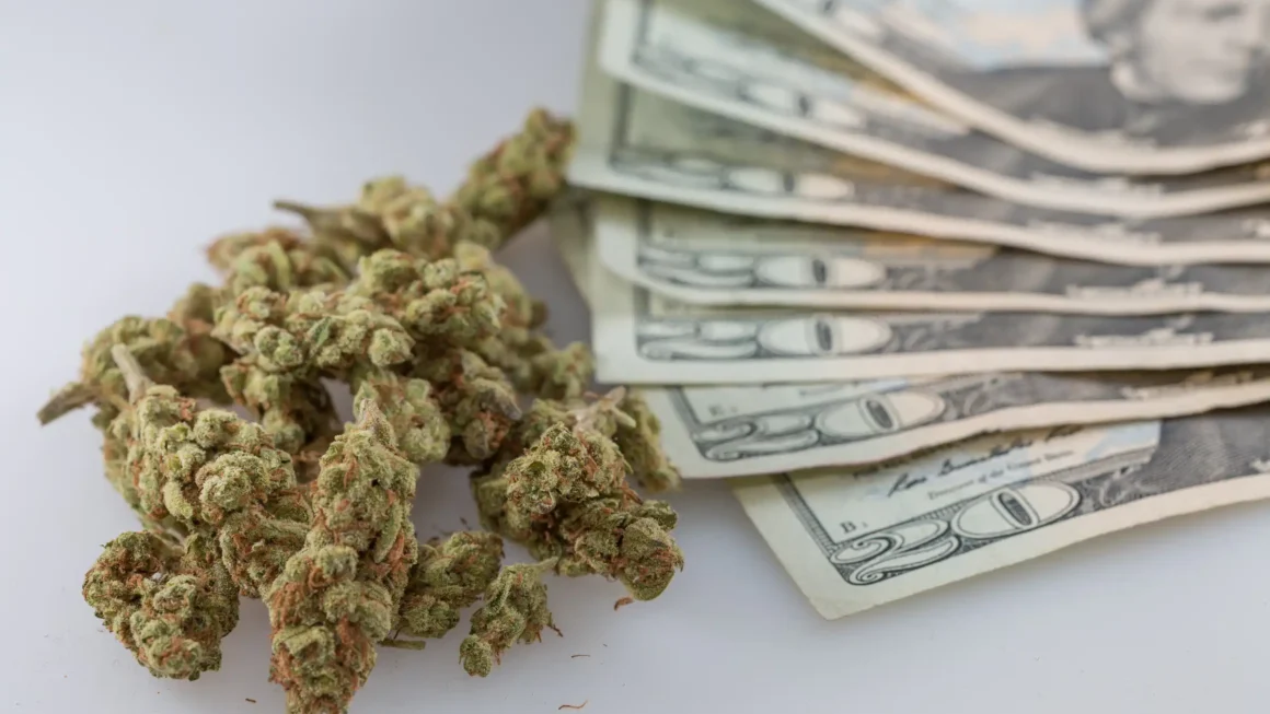 West Virginia Treasurer Allocates Medical Marijuana Revenue Despite Governor’s Veto