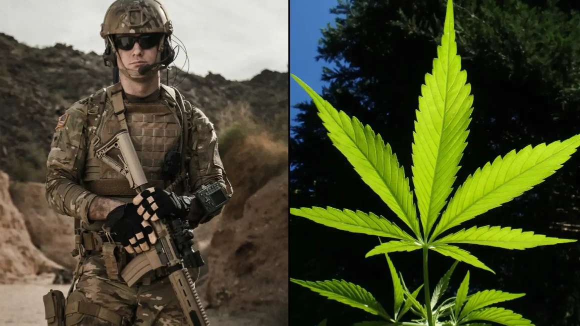 Army Reminds Soldiers Of 'Zero-Tolerance' Marijuana Policy, Warning That Even CBD Lotion Remains Banned