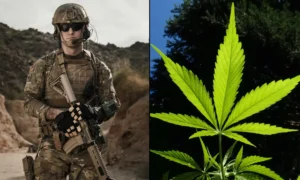 Army Reminds Soldiers Of 'Zero-Tolerance' Marijuana Policy, Warning That Even CBD Lotion Remains Banned